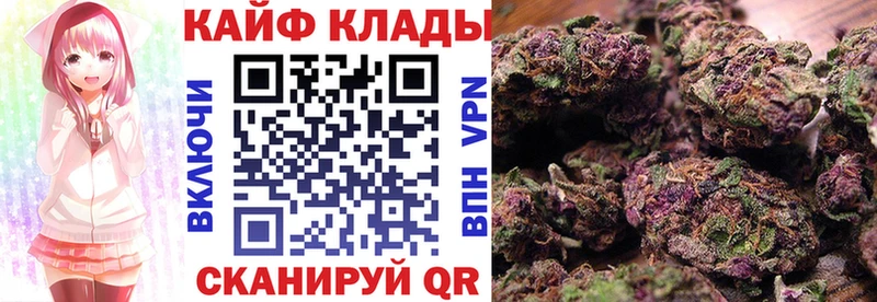 Где купить наркотики Катав-Ивановск ГАШ  МЕТАДОН  Codein  APVP  МАРИХУАНА  Меф мяу мяу  COCAIN  АМФЕТАМИН 