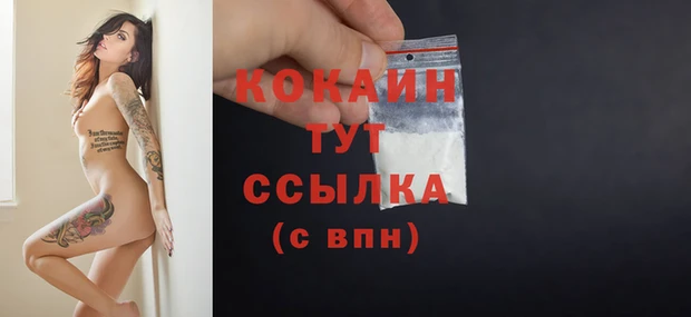 крисы Мегион