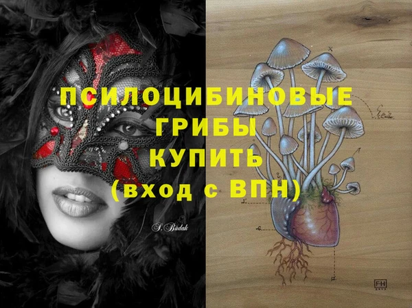 молекула духа Вязники