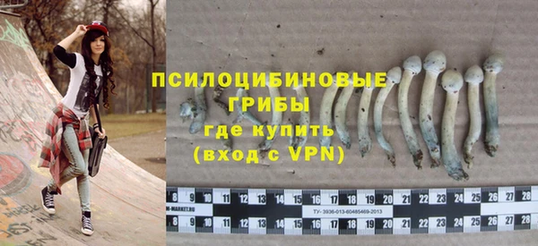 apvp Михайлов