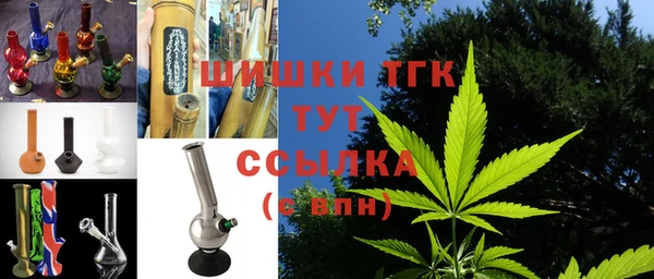 твердый Вяземский