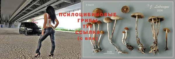 гидра Медногорск