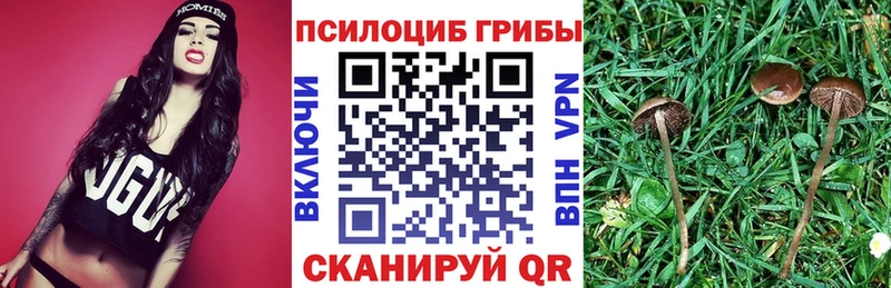 Галлюциногенные грибы MAGIC MUSHROOMS  где можно купить наркотик  OMG зеркало  Катав-Ивановск 