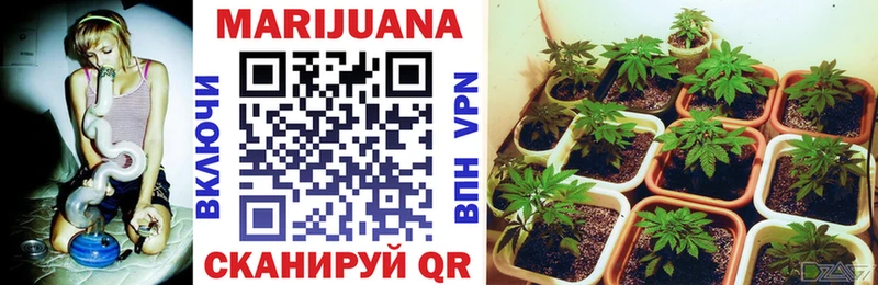 Каннабис THC 21%  закладки  Катав-Ивановск 